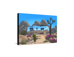 Desert Airstream