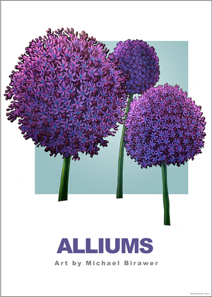 Alliums