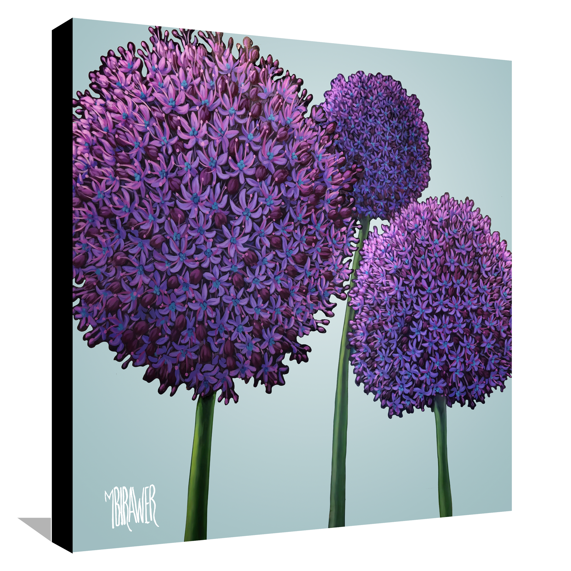 Alliums