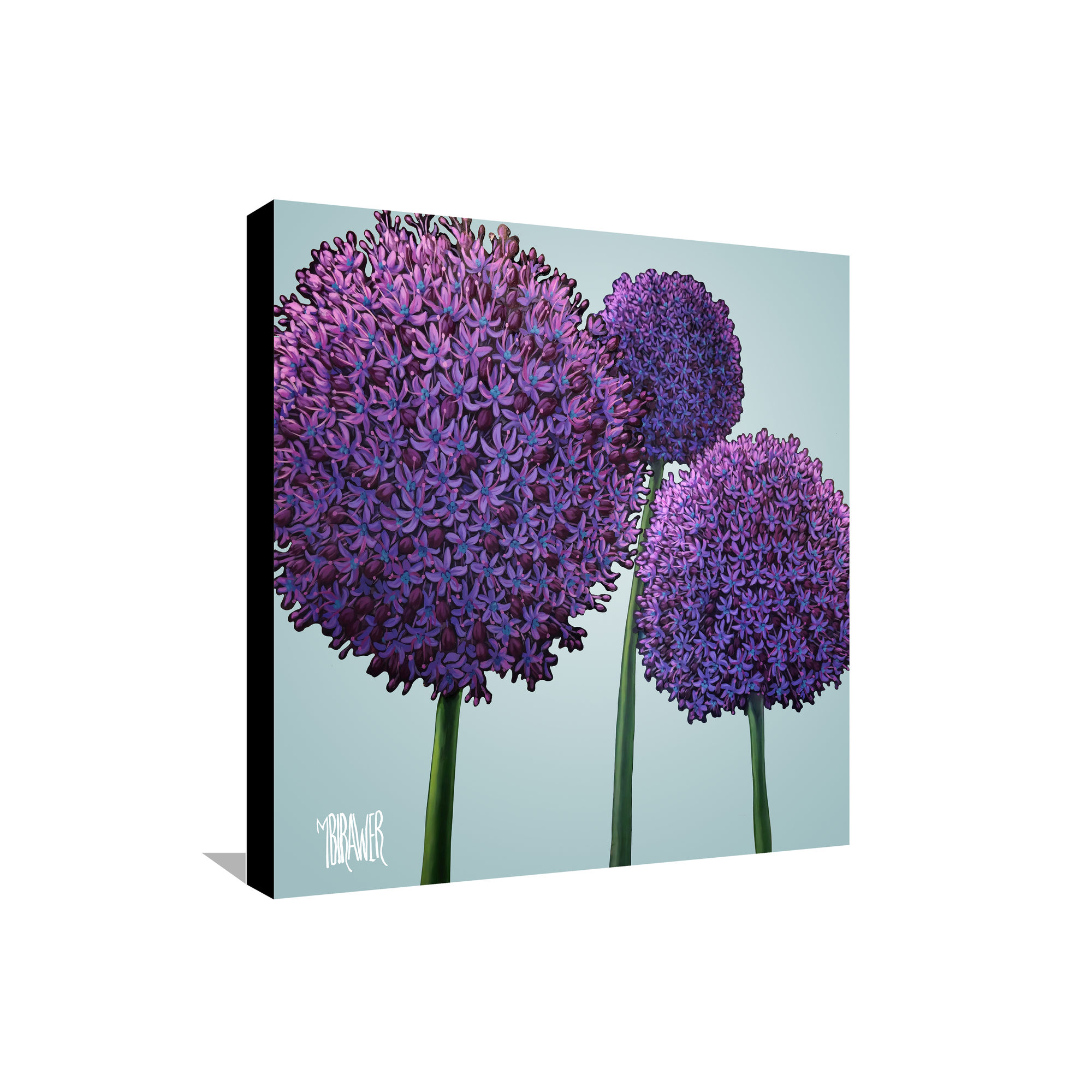 Alliums