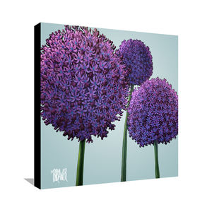 Alliums