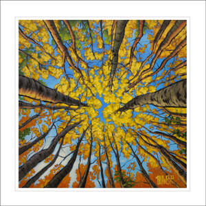 Autumn Canopy I