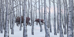 Birch Forest