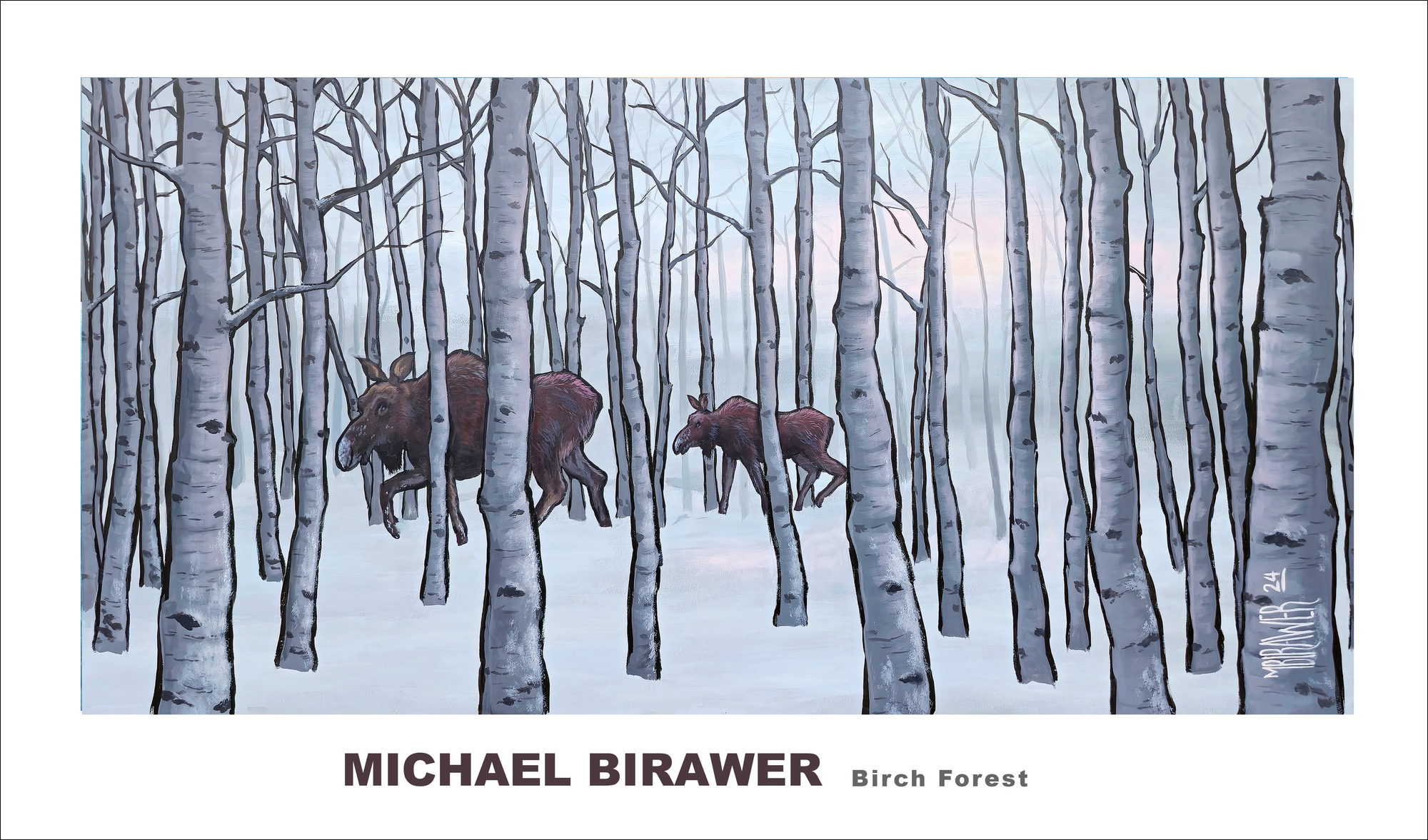 Birch Forest