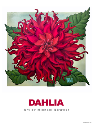 Dahlia