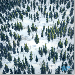 One Tree Amongst Many