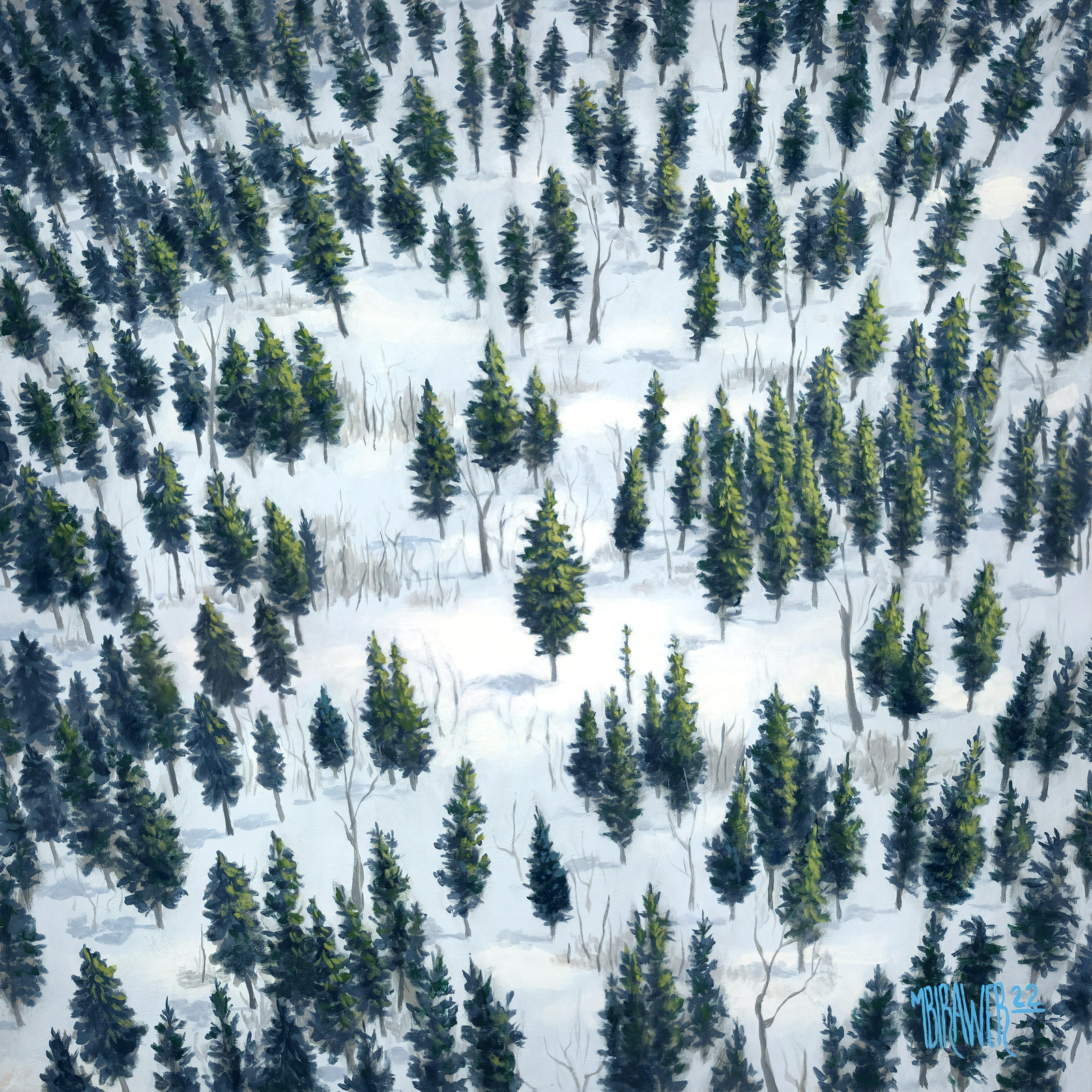 One Tree Amongst Many