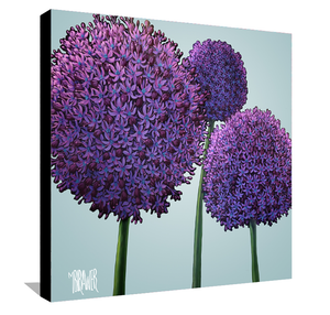 Alliums