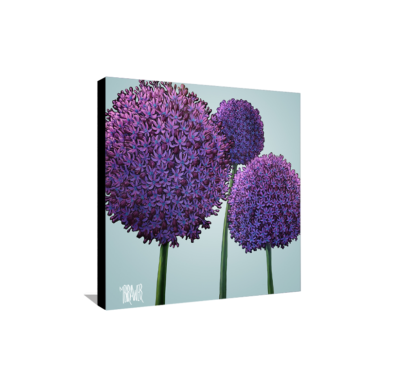 Alliums