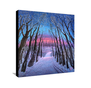 Ski Trail at Sunset