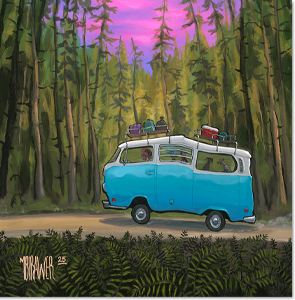 VW T2 In Olympic National Forest