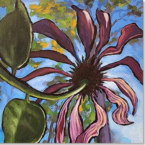 What A Dying Flower Sees