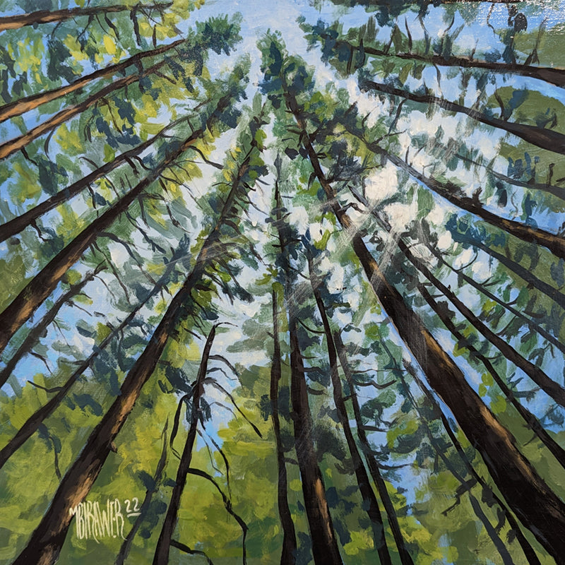 Forest Canopy II