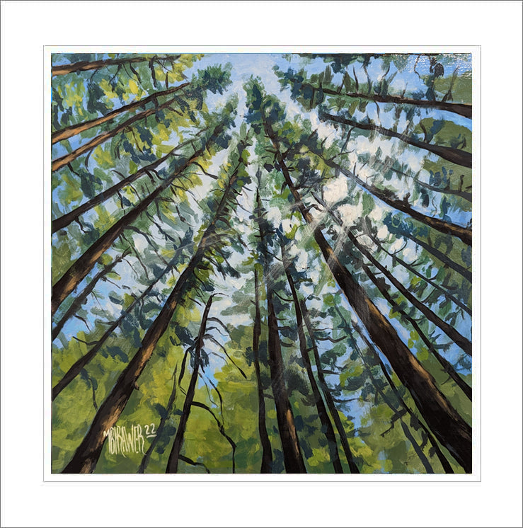 Forest Canopy II