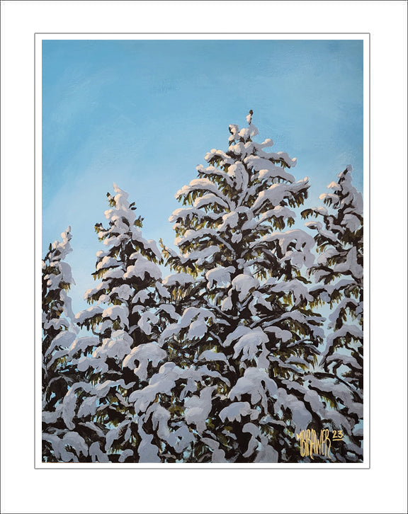 Four Snow Covered Trees