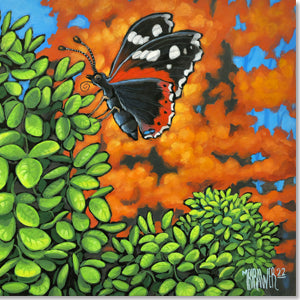 Happy Day for a Red Admiral