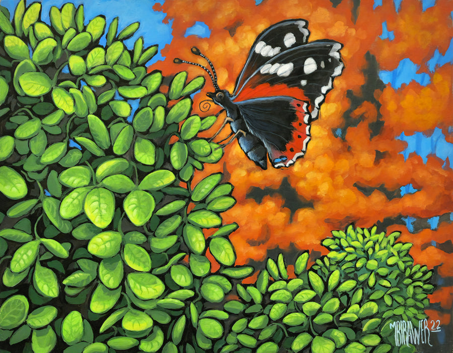 Happy Day for a Red Admiral